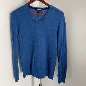 Express Merino Wool V-Neck Sweater